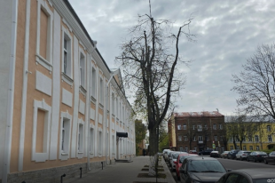 В Великом Новгороде с дома Сиверса сняли строительные леса и ограждения