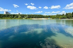 Школьное озеро в Зеленограде приведут в порядок