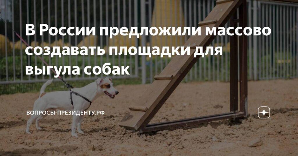Девелоперов могут обязать оборудовать площадки для выгула собак